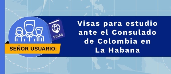 Se habilitará la aplicación para visas en la página web este miércoles 29 de marzo de 9:00 a.m. a 12:00 p.m. 